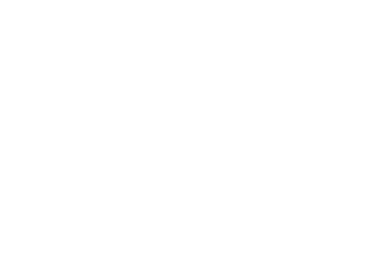 Roteiro Finlandês Penedo